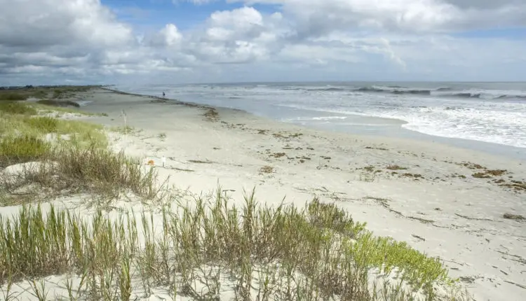 North Myrtle Beach Water Temperature: Forecasts & current water temp